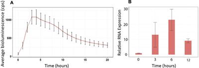 A Plant Stress-Responsive Bioreporter Coupled With Transcriptomic Analysis Allows Rapid Screening for Biocontrols of Necrotrophic Fungal Pathogens